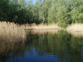 See6