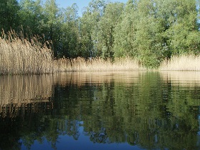 See7