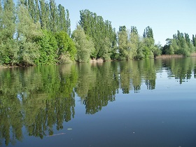 See12