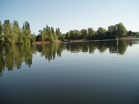 See13